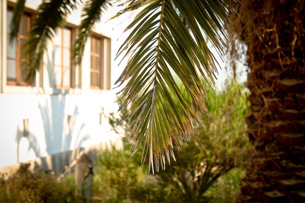 Cabeca Da Cabra Casa De Campo ポルト・コーヴォ エクステリア 写真